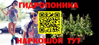 твердый Будённовск