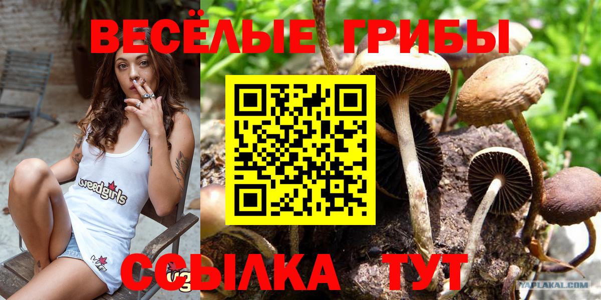 Югорск  Псилоцибиновые грибы Magic Shrooms  Вход с VPN 